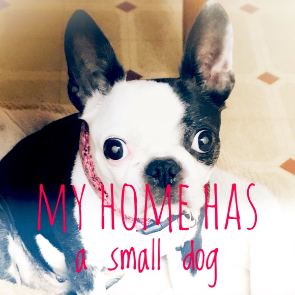 Meet your Posher, Dena - Picture 1 of 3